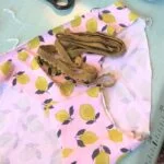 Les cortèges de l&rsquo;atelier Bakhita